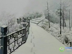 孙景周老师色彩作品系列之三
