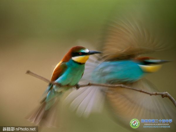 5a7f5ce2089745d9.jpg 5a7f5ce2089745d9.jpg