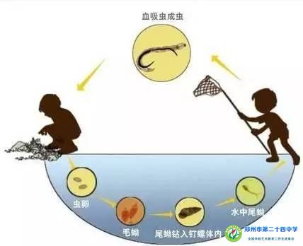 155e6855b6b74a3a8f6c5b8fd0873610.png