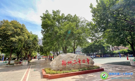 图片8