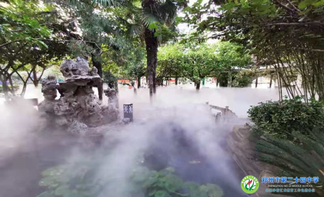 图片9