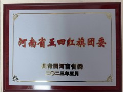 河南省五四红旗团委