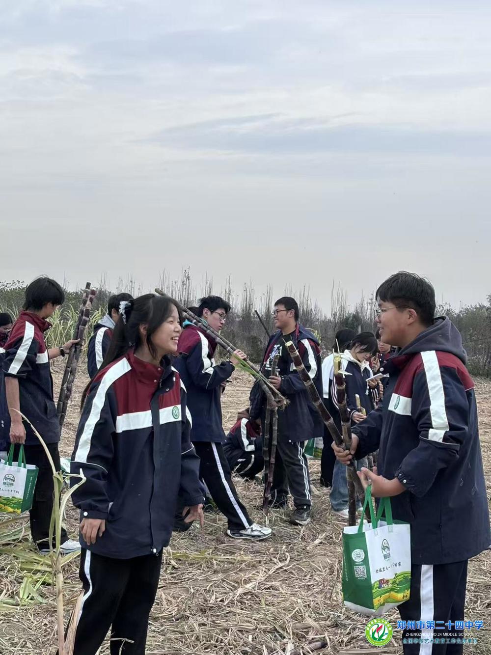 d821bd264eff4ce178da85ede59fd408