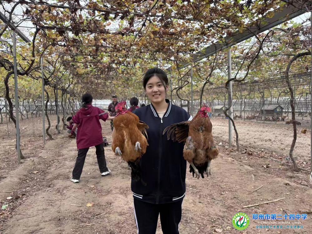 13b31eb1e3f4d769f21658e4a85d296e